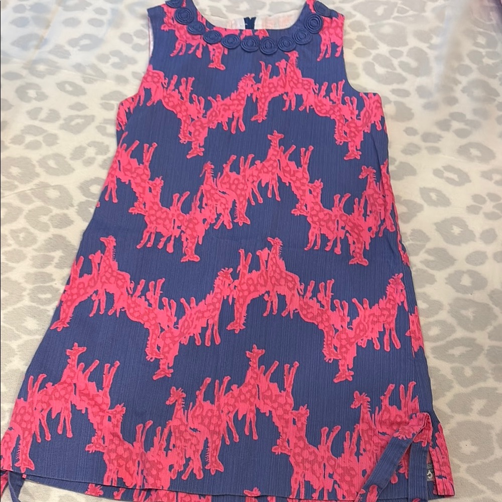 Stylish Blue and Pink Lilly Dress